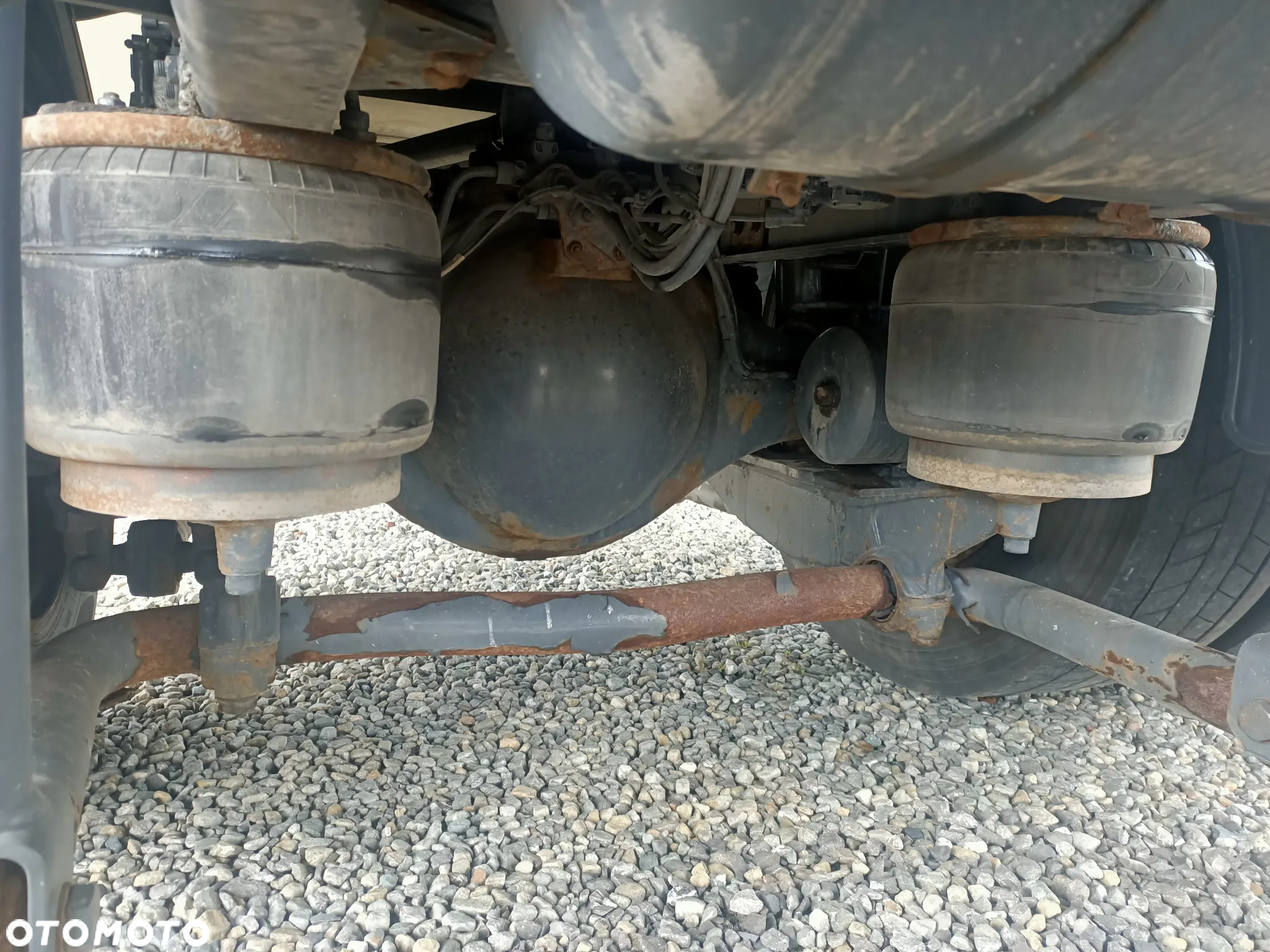 DAF LF 230 EURO 6 Chłodnia Supra 850 - 31