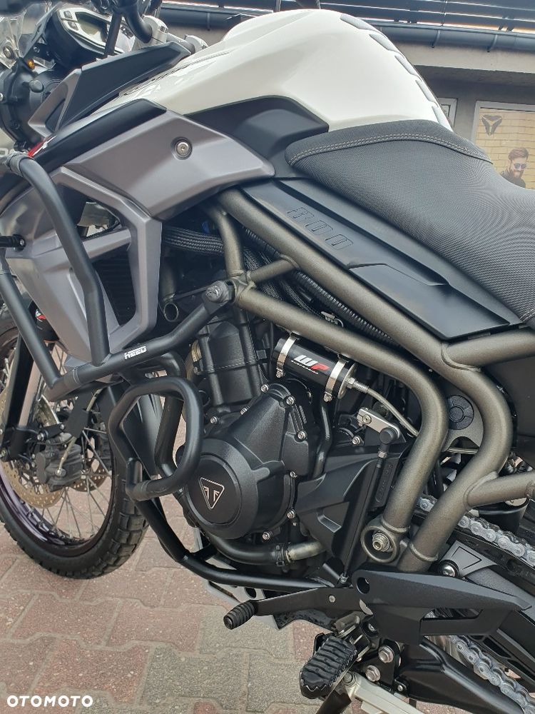 Triumph Tiger - 19