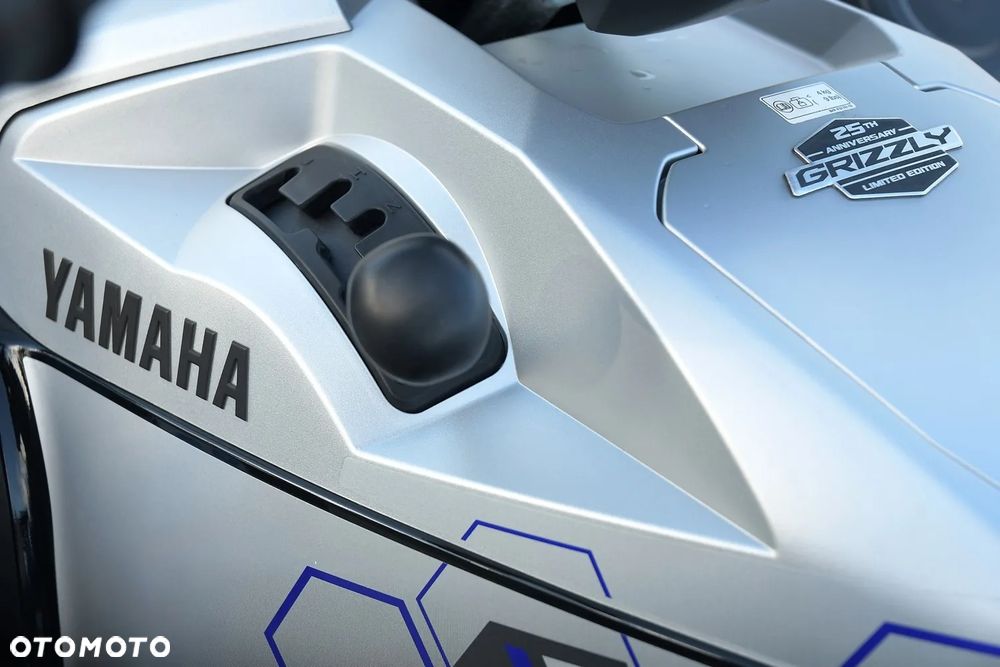 Yamaha Grizzly - 28