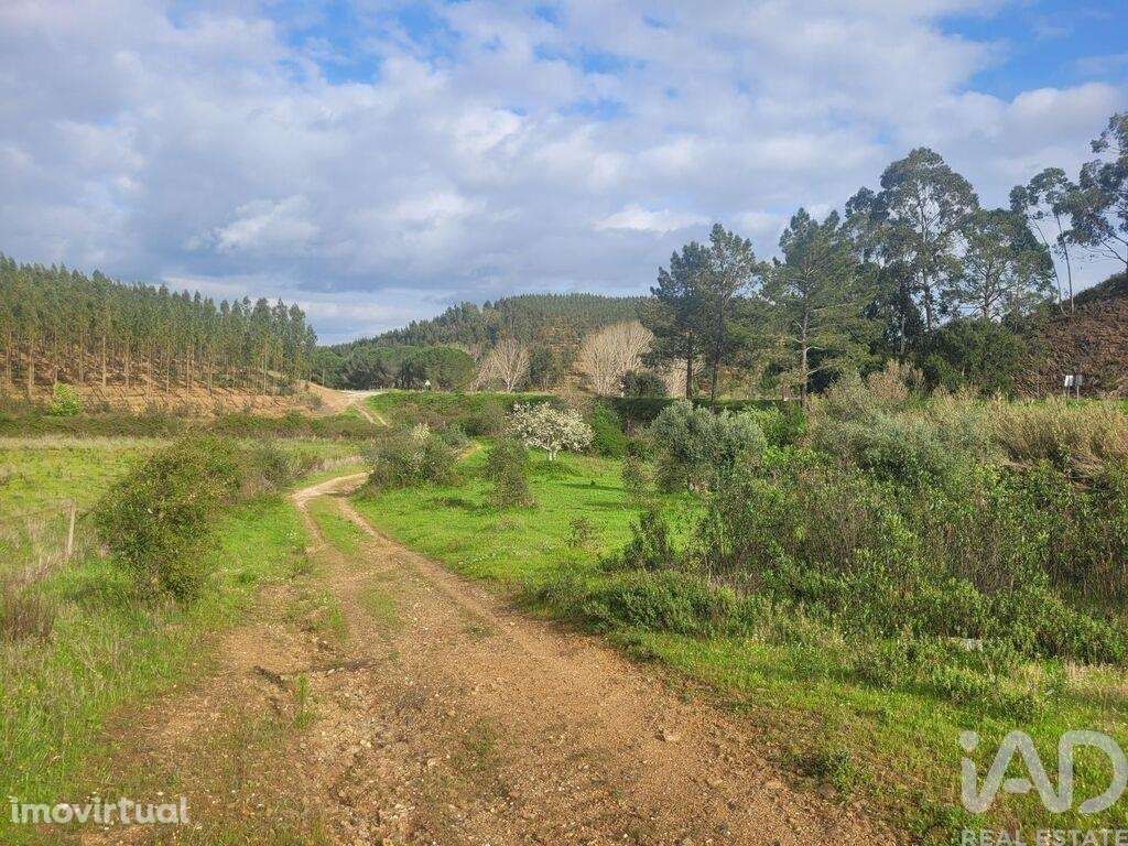Quinta T2 em São Teotónio - Grande imagem: 2/20