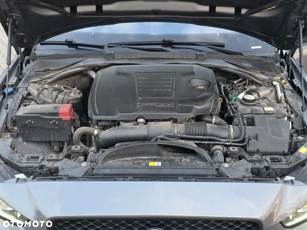 Jaguar XE - 17
