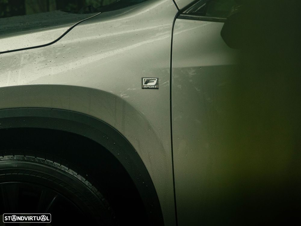 Lexus NX 450h+ - 19