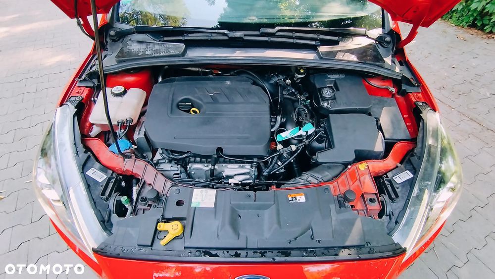 Ford Focus - 24