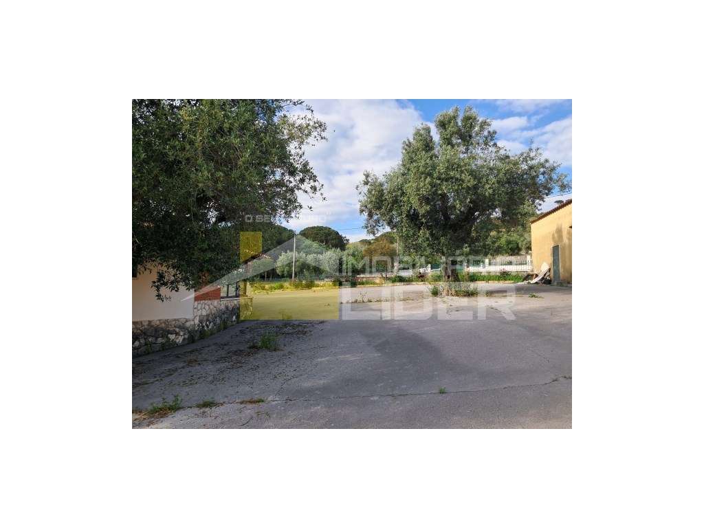 Propriedade de Grande Dimensão em Minde - Alcanena | Eventos, Turis... - Grande imagem: 5/20