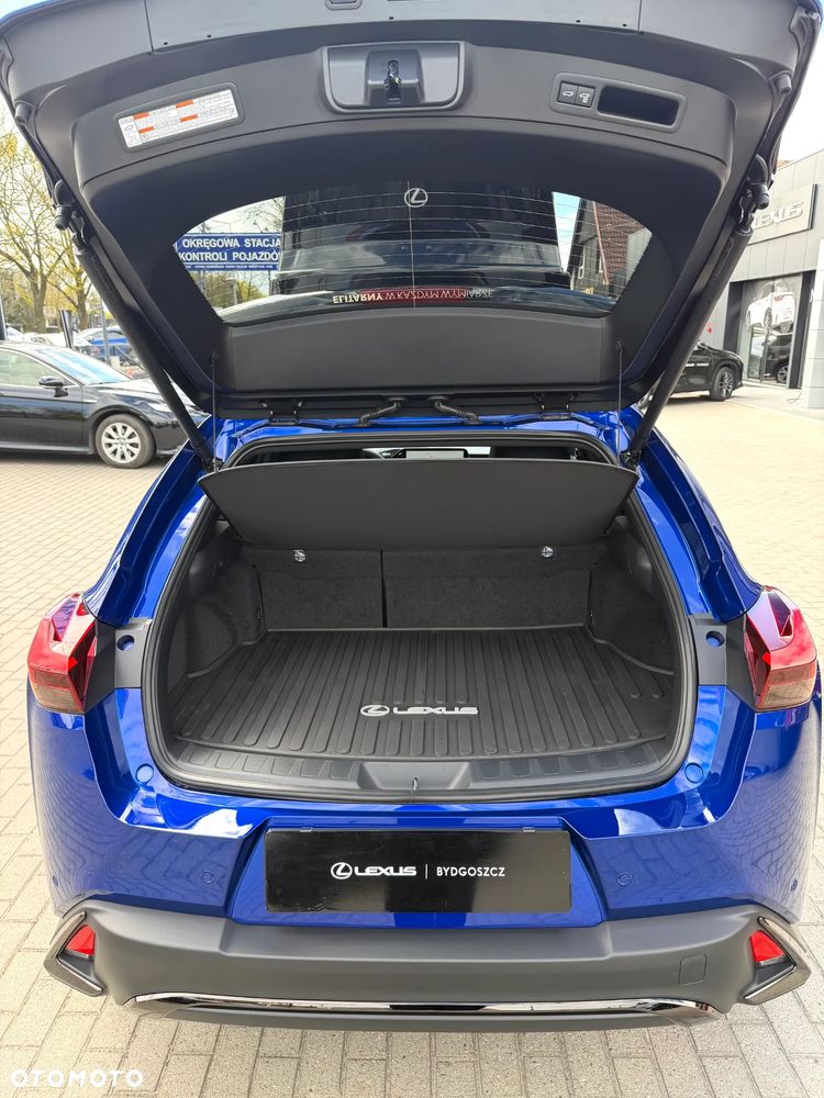 Lexus UX 300h F Sport Design - 8
