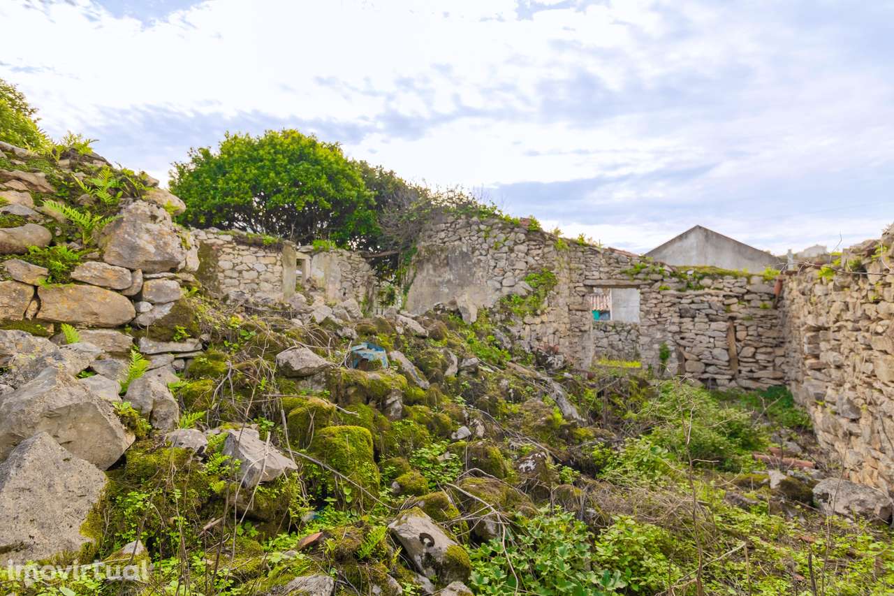 Ruína para Venda no Carvalhal de Ajubarrota - Grande imagem: 5/18
