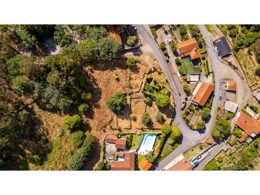 Terreno com Ruína e Projeto Aprovado para Turismo Rural em Loivo - Grande imagem: 3/14