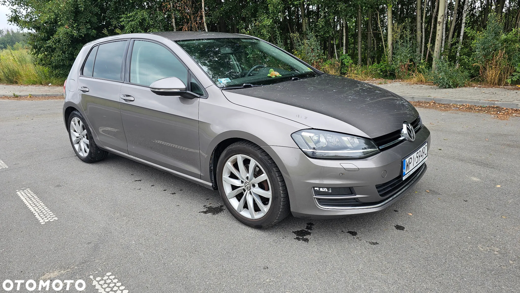 Volkswagen Golf VII 1.4 TSI BMT ACT Highline - 11