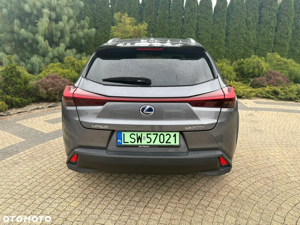 Lexus UX 300e 54.3 kWh Business Edition 2WD - 6