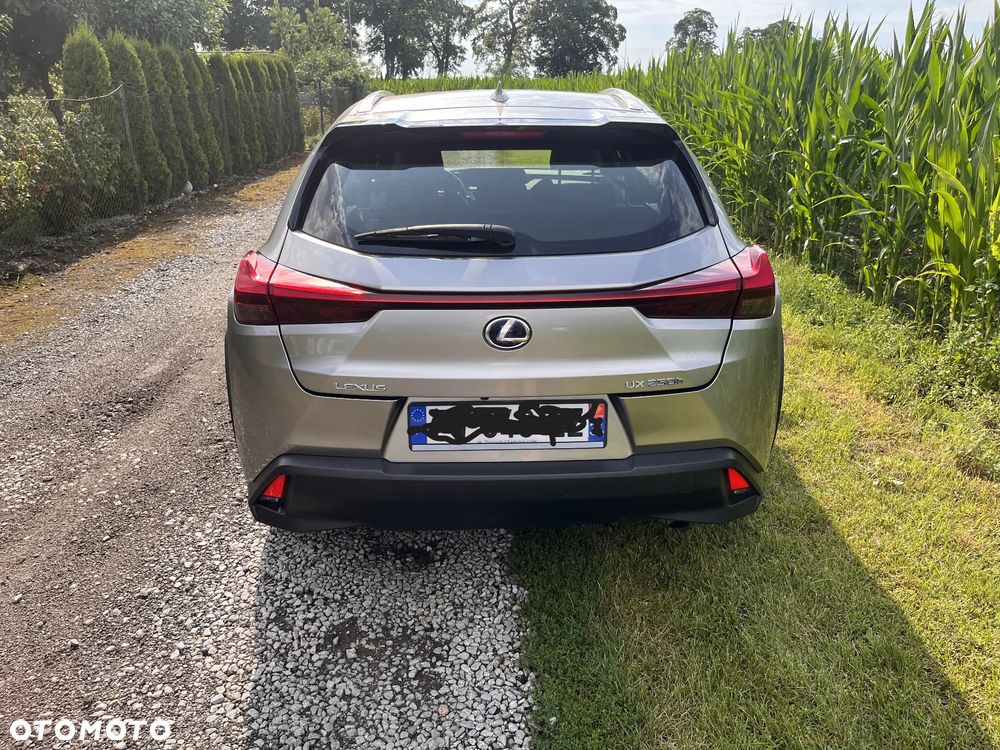 Lexus UX - 5