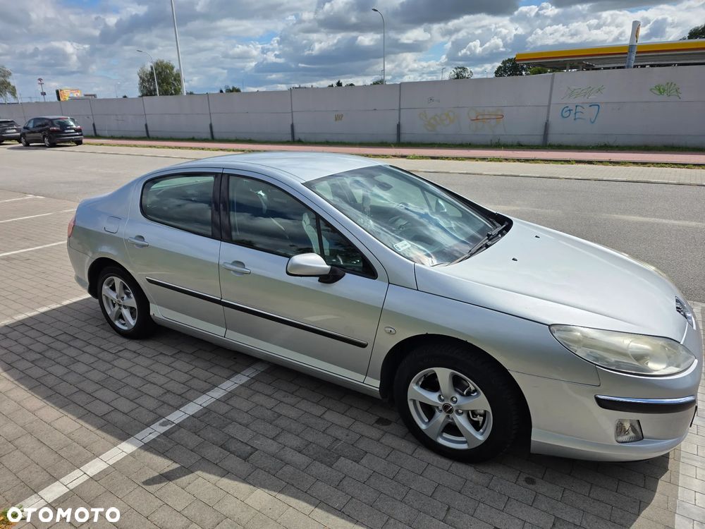 Peugeot 407 - 30