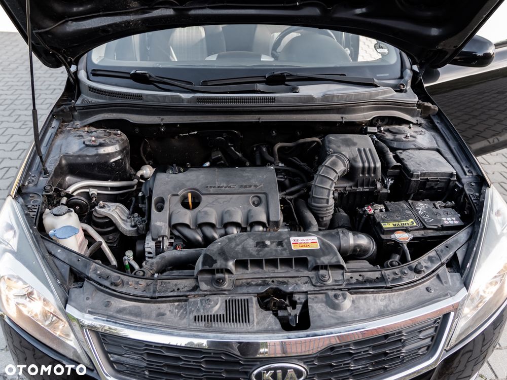 Kia Ceed - 16