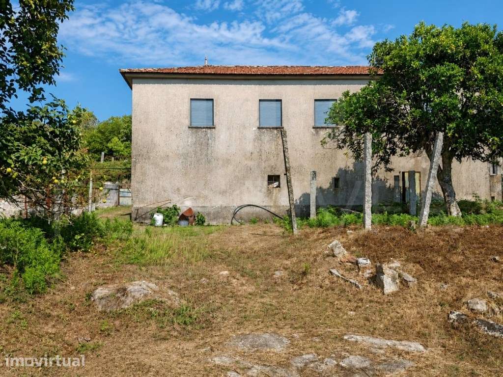 Moradia T3 com amplo terreno e anexos em Fontoura - Valença - Grande imagem: 2/16