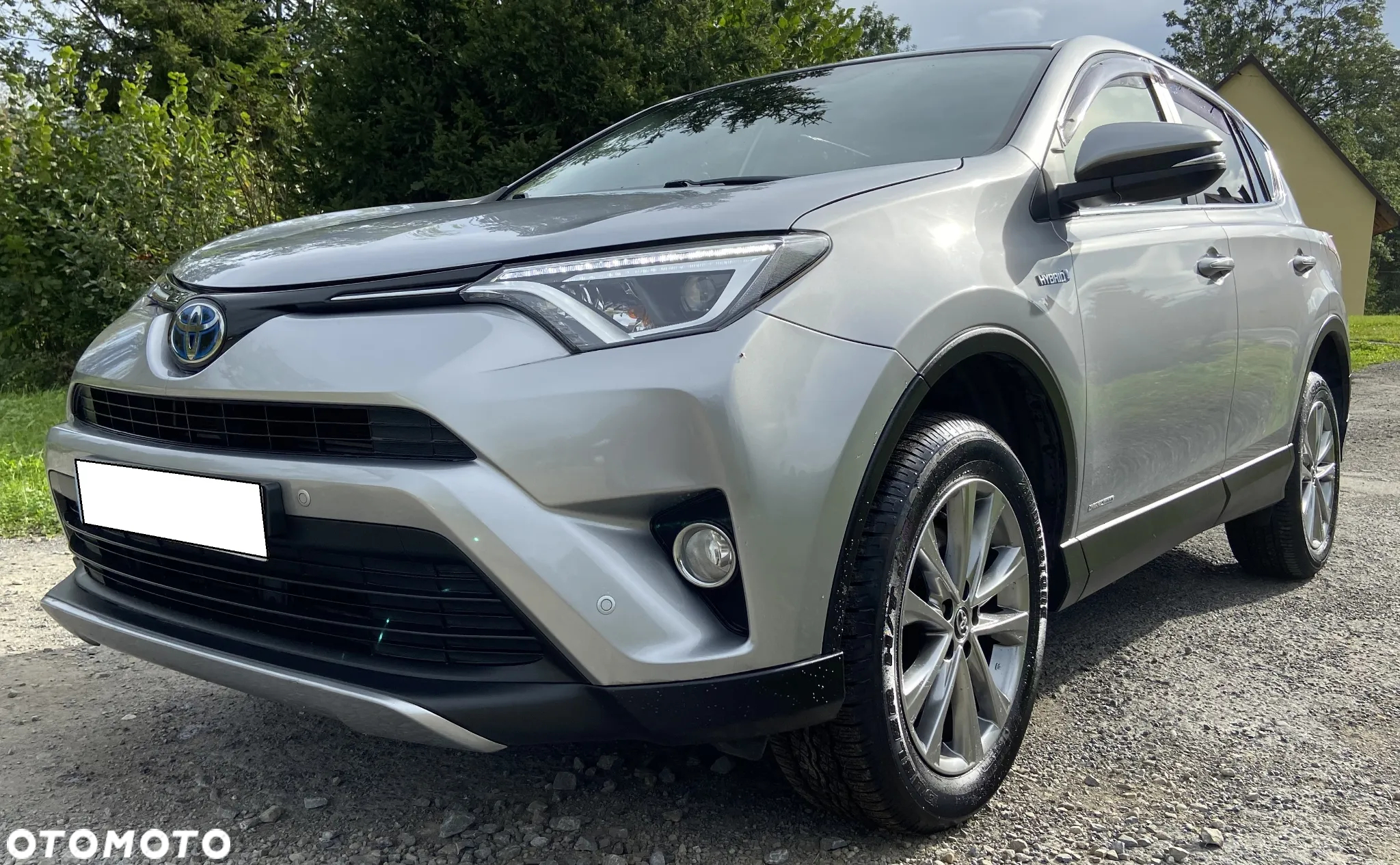 Toyota RAV4 2.5 4x2 Hybrid Edition - 2