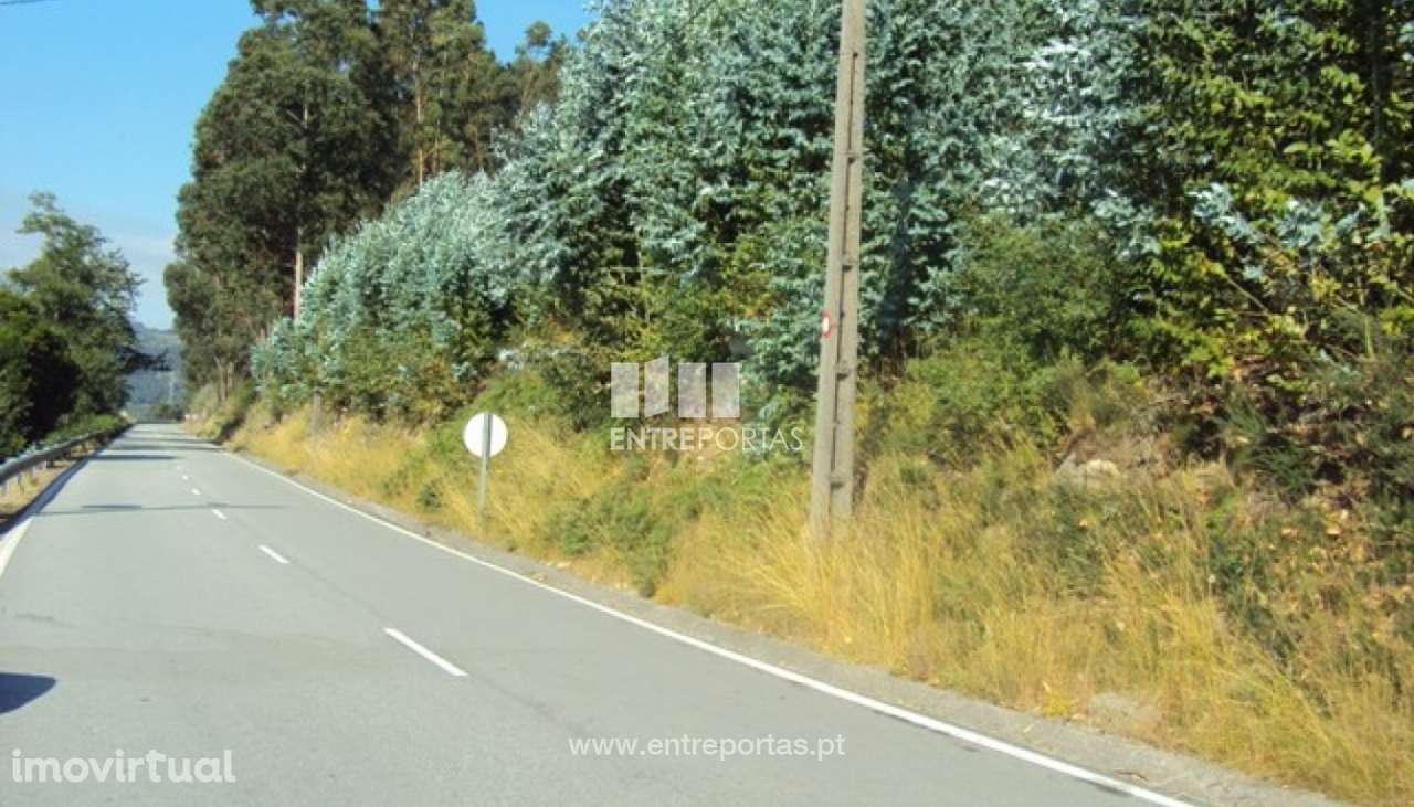 Venda Terreno, Tarouquela, Cinfães - Grande imagem: 3/6