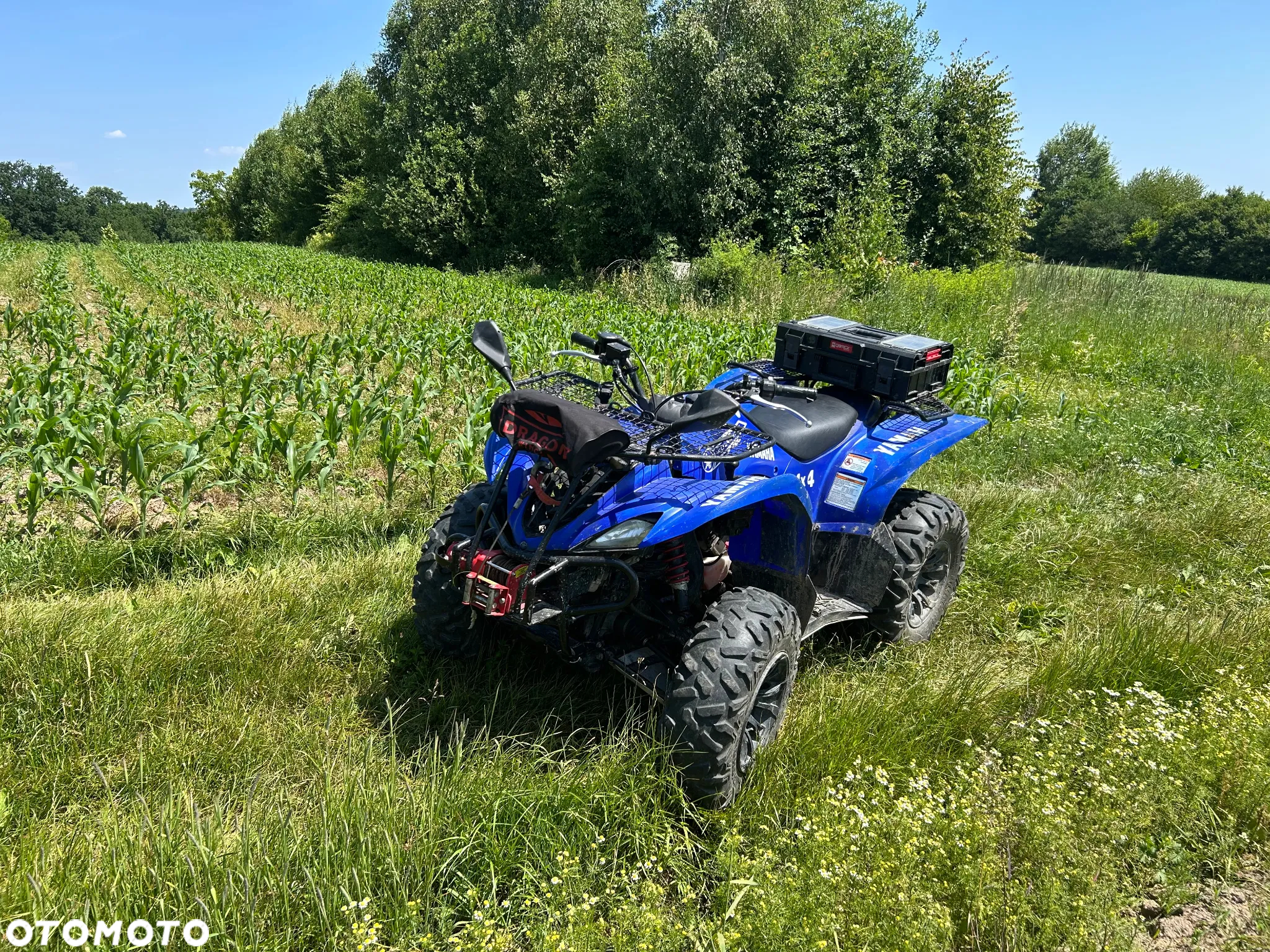 Yamaha Wolverine - 10
