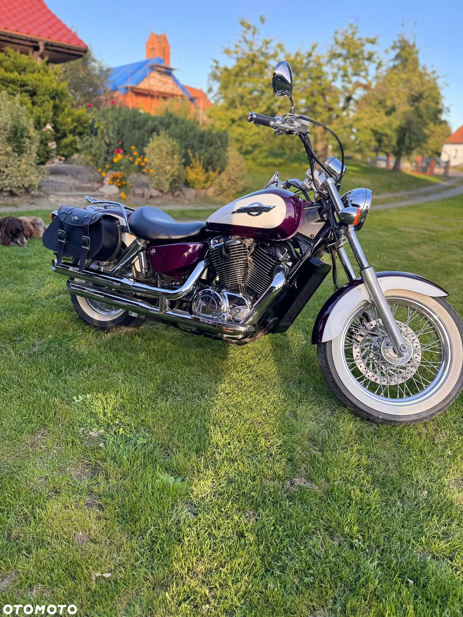 Honda Shadow - 13