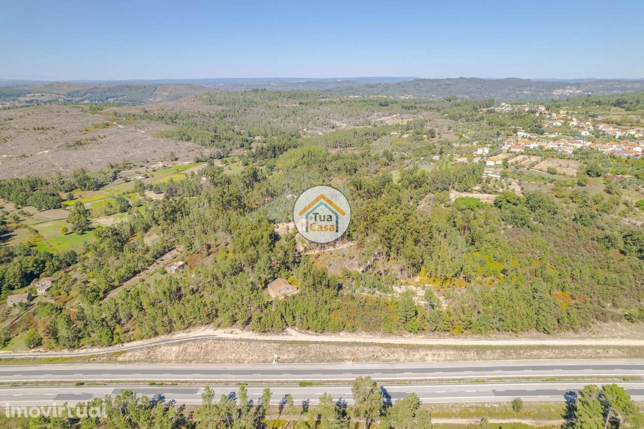 Terreno Rústico em Mangualde - Grande imagem: 5/15