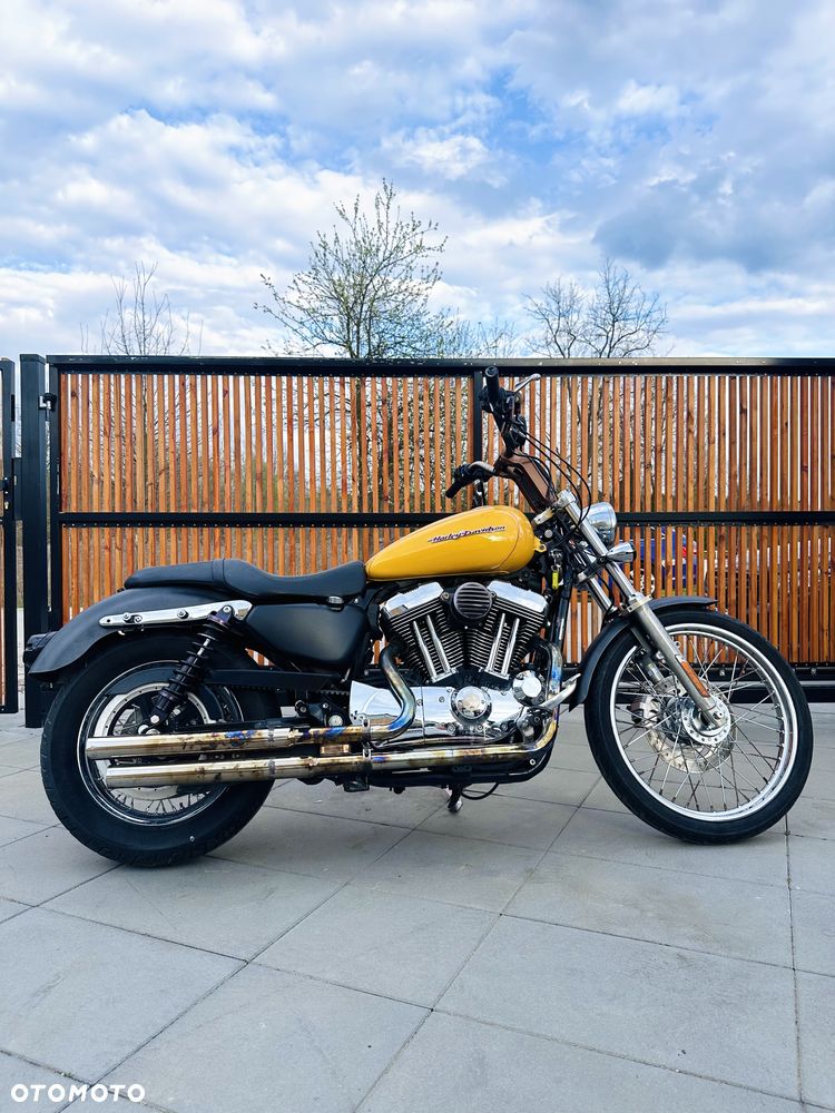 Harley-Davidson Sportster Custom 1200C - 5