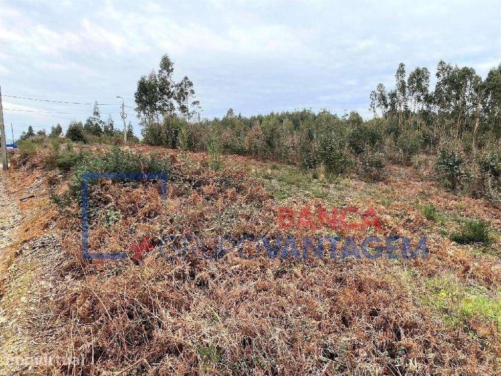 Terreno misto - Sandim, Vila Nova de Gaia - Grande imagem: 5/6