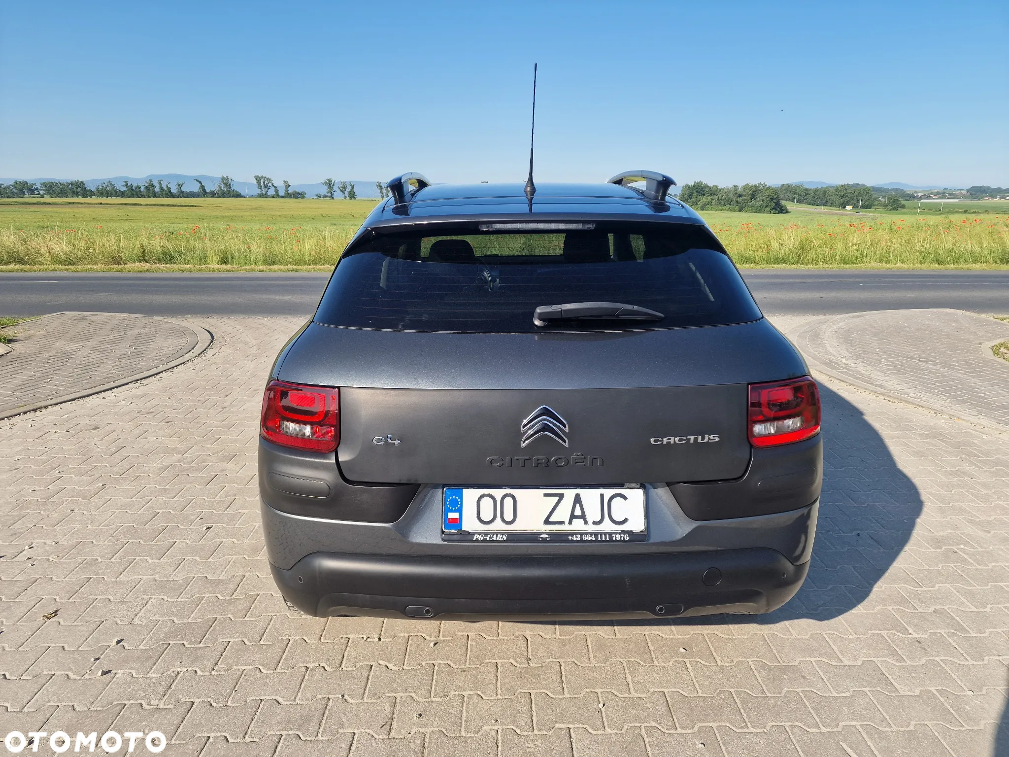 Citroën C4 Cactus VTi 82 Shine Edition - 11