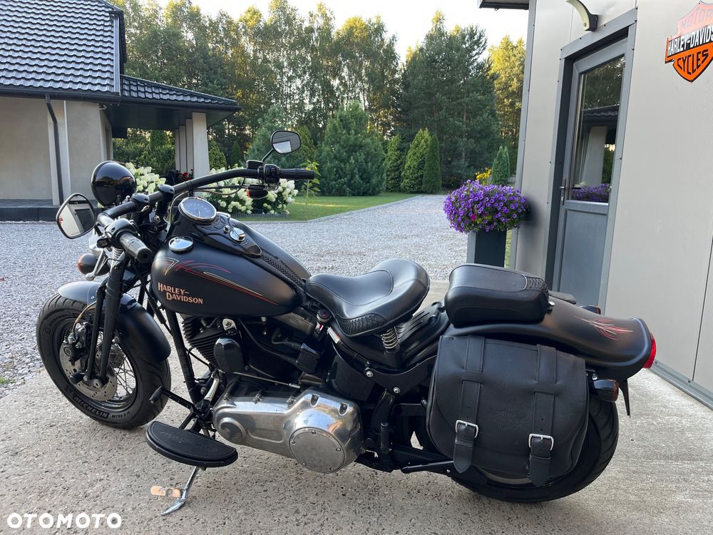 Harley-Davidson Softail Cross Bones - 10