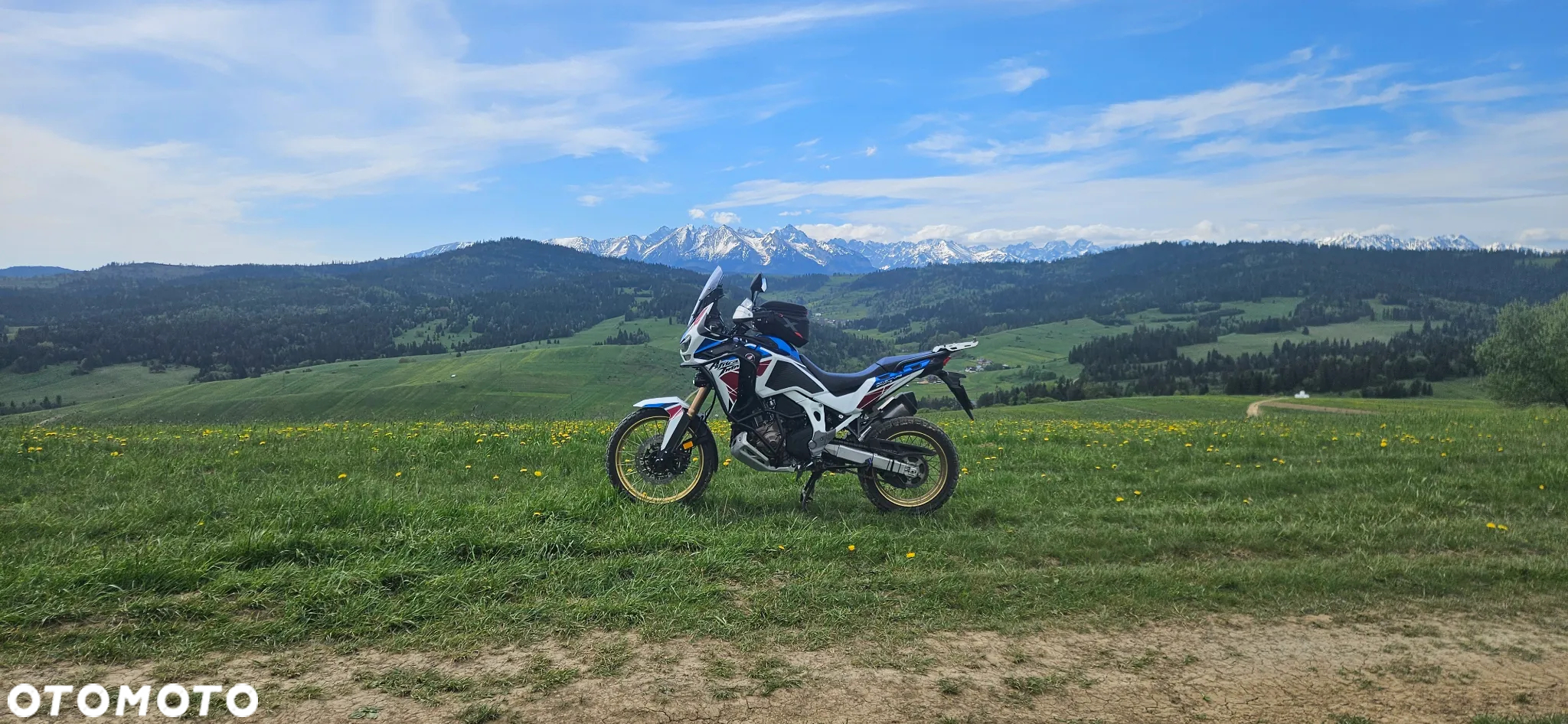 Honda CRF