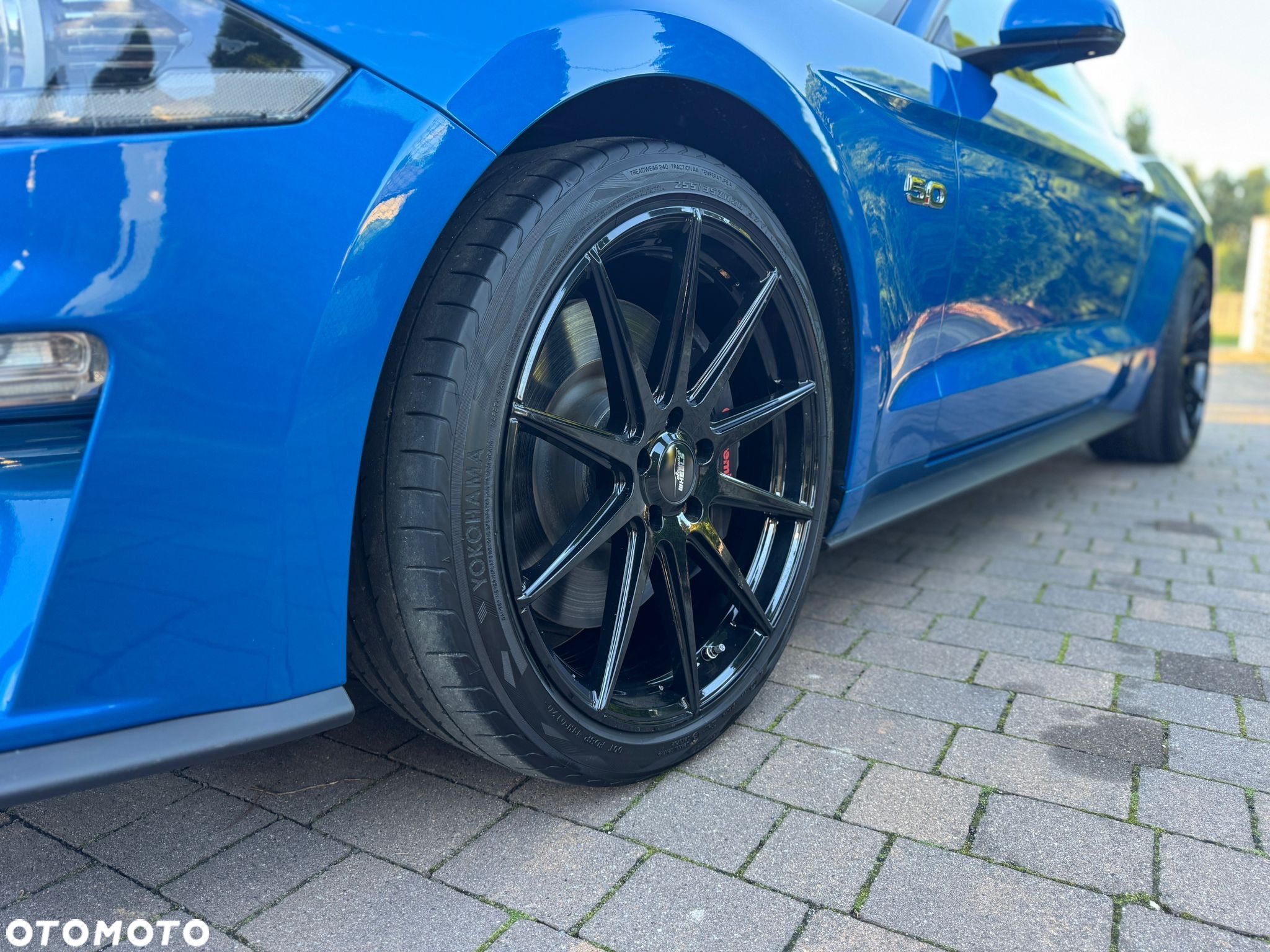 Ford Mustang Fastback 5.0 Ti-VCT V8 GT - 12