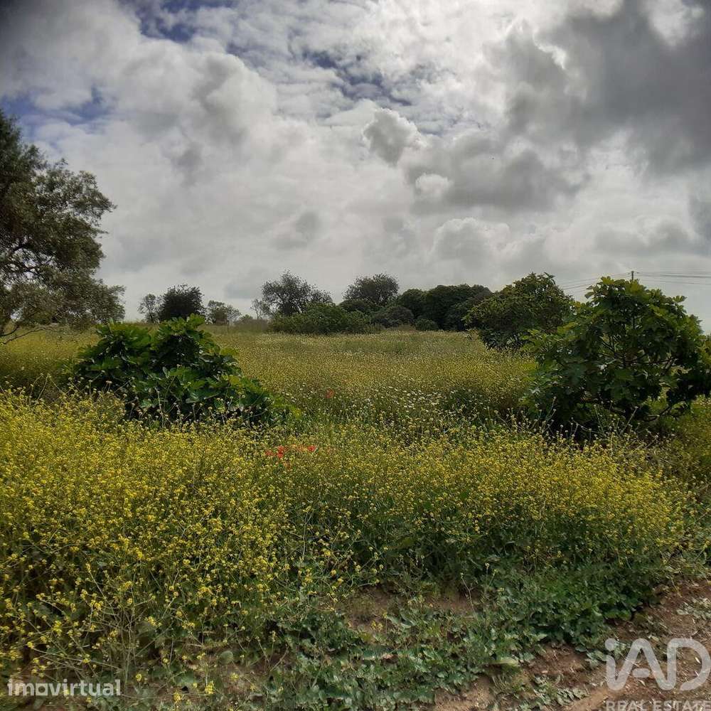 Terreno para construção em Tavira (Santa Maria e Santiago) de 31269,00 - Grande imagem: 4/8