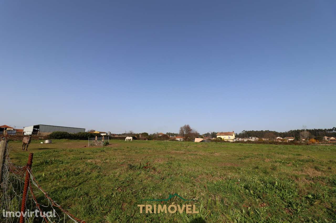 Terreno para construção - Loureiro - Grande imagem: 5/10
