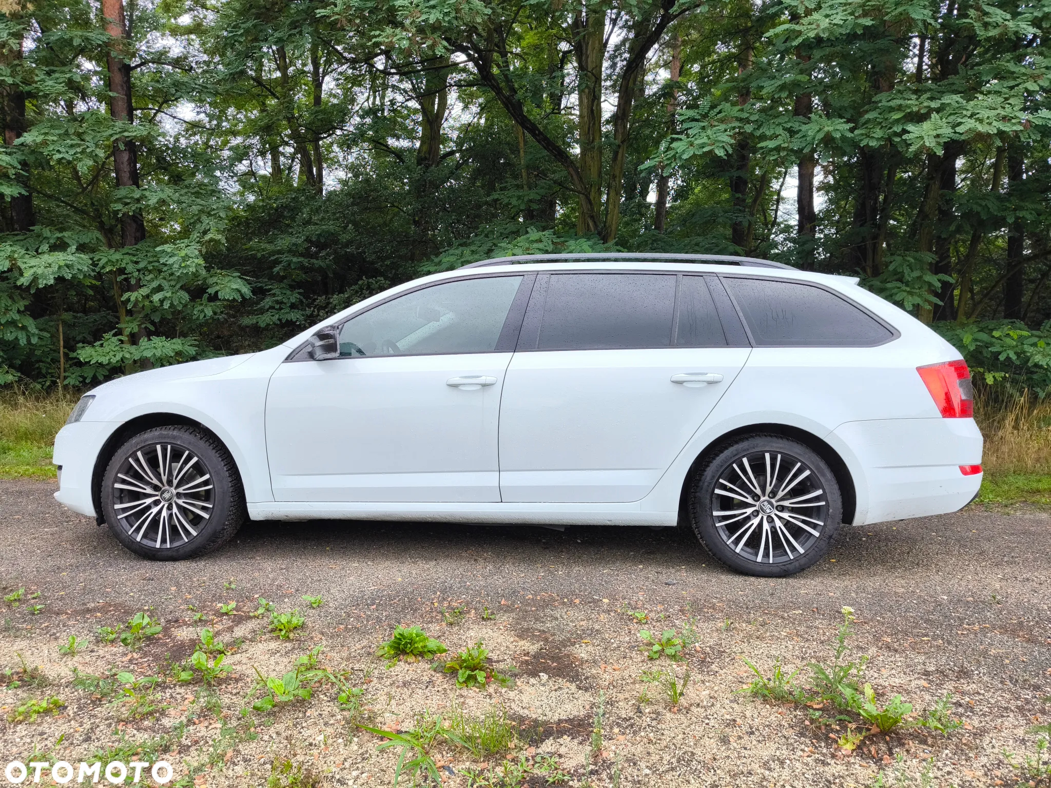 Skoda Octavia - 7
