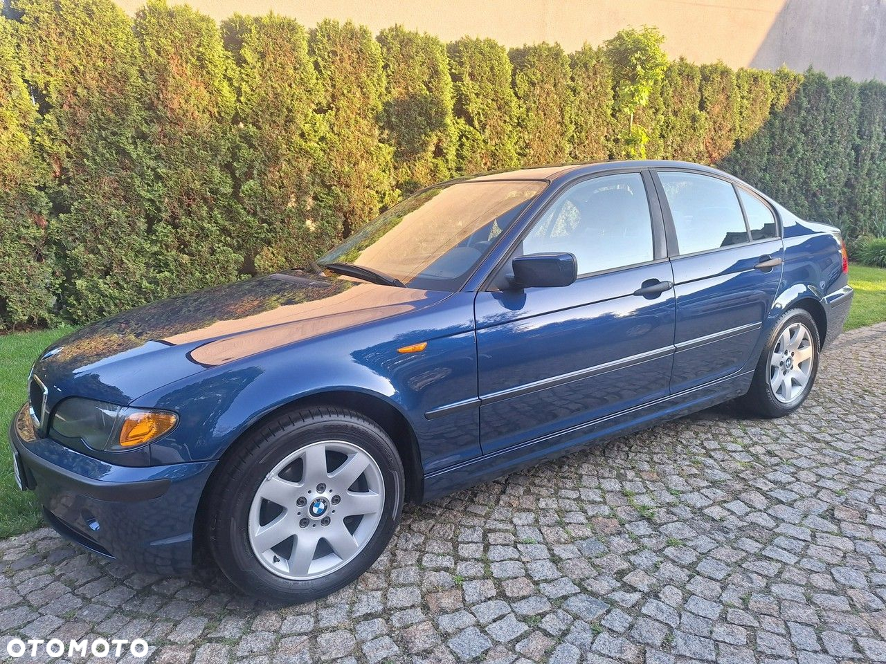 BMW Seria 3 318i Edition Exclusive - 28