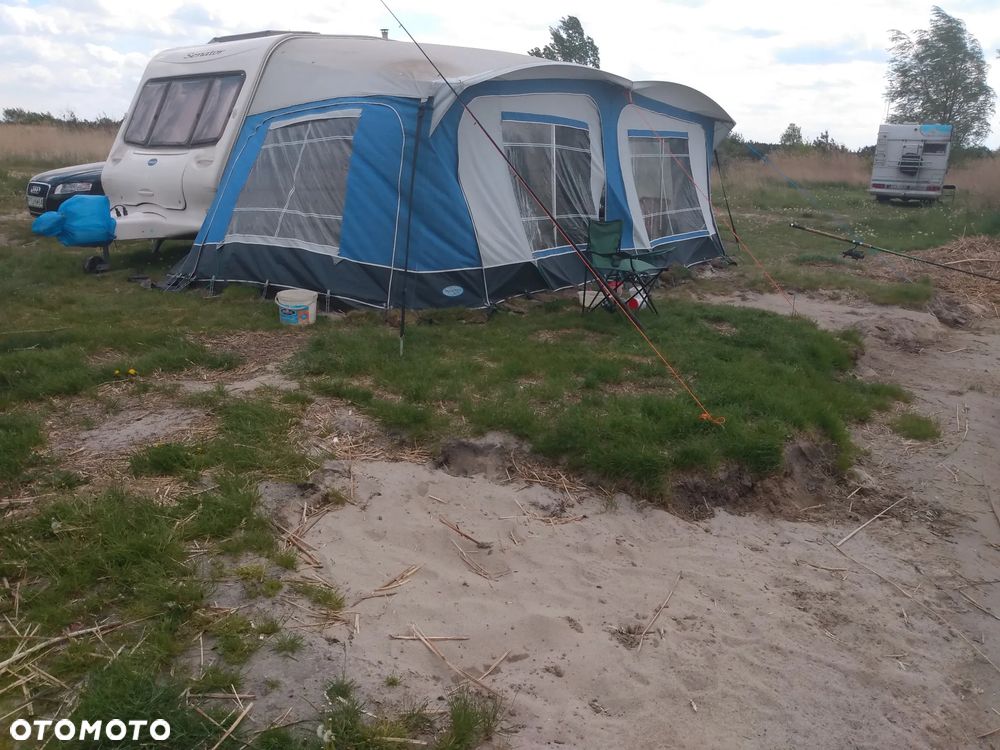 Bailey senator arizona - 11