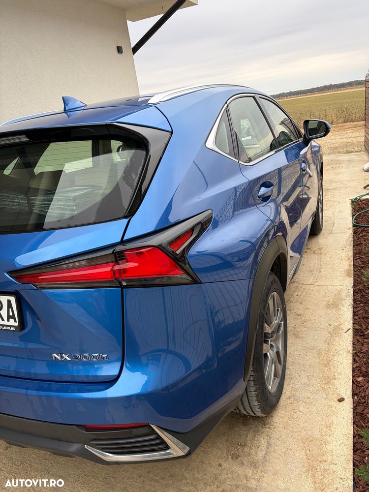 Lexus Seria NX - 7