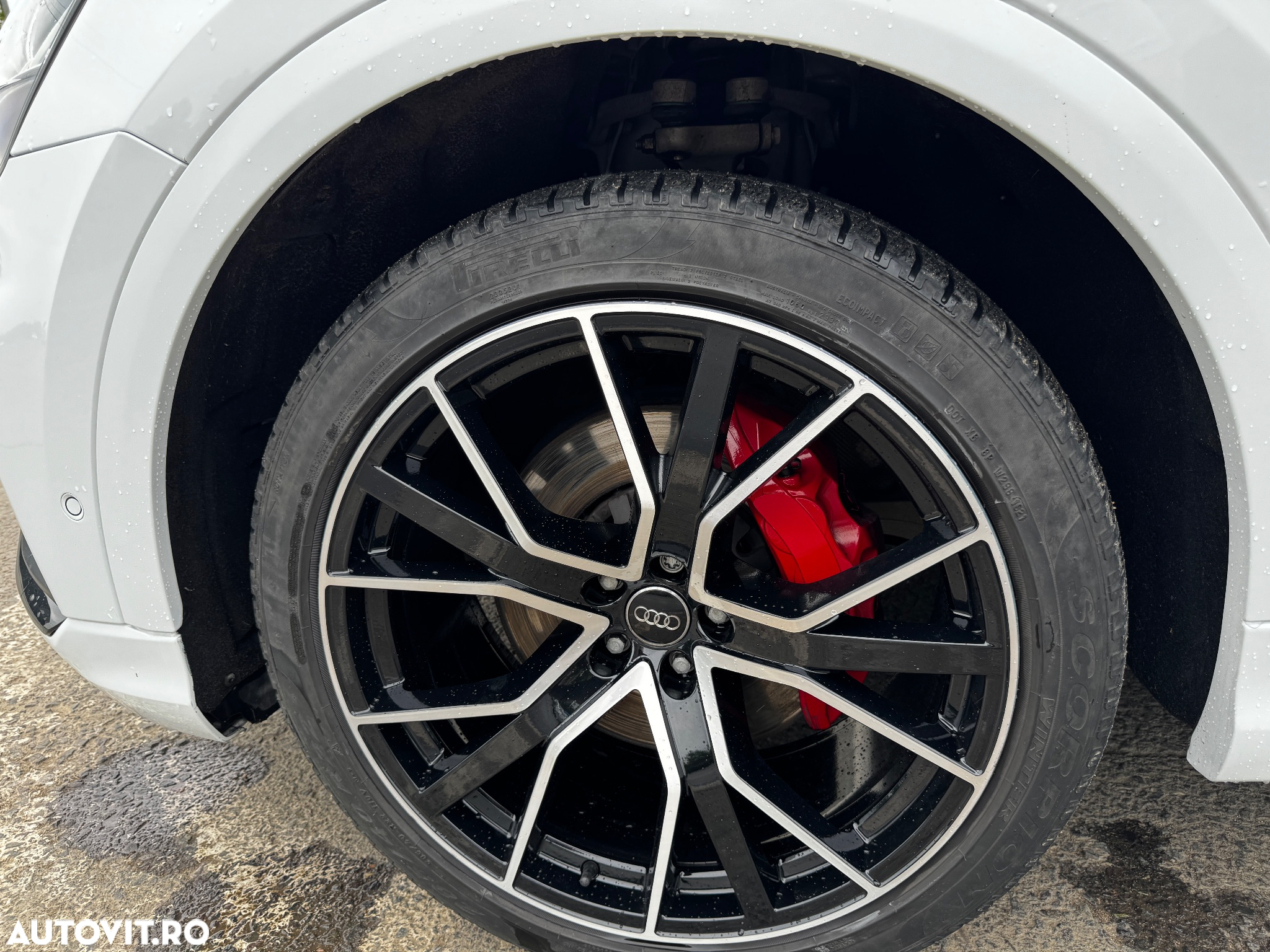 Audi Q8 3.0 50 TDI quattro Tiptronic MHEV - 20