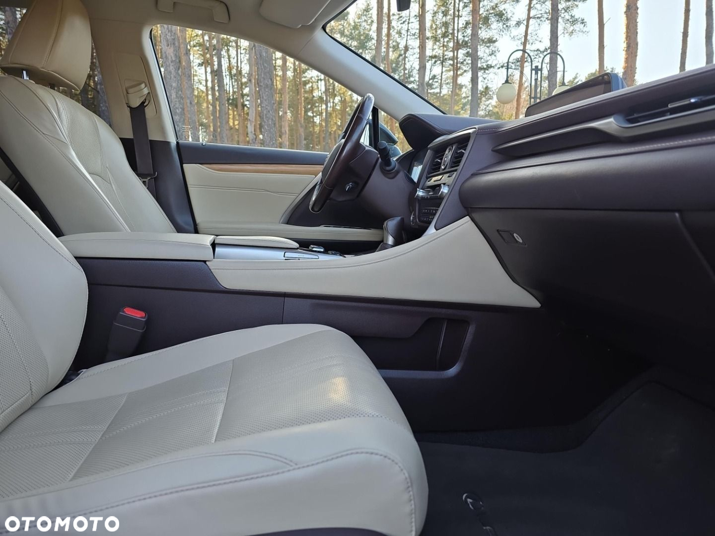 Lexus RX - 10
