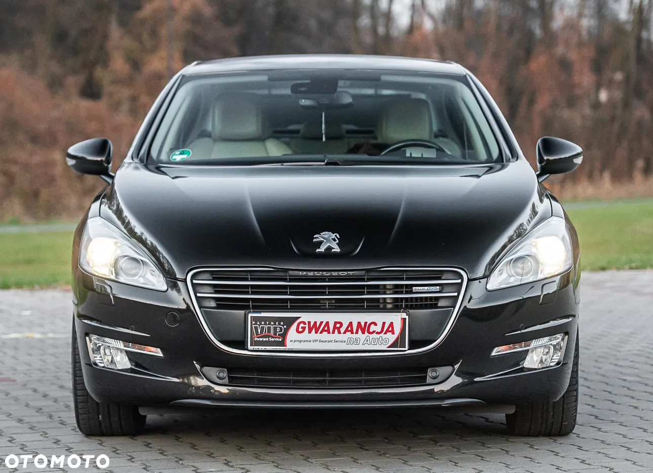Peugeot 508 - 14