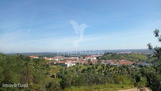 Casa de campo c/ vista barragem, Montargil - Grande imagem: 5/12