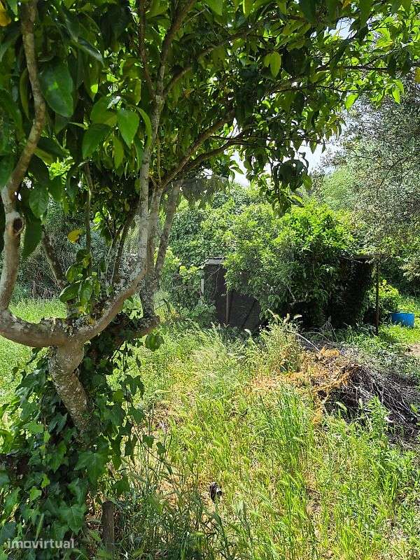 Terreno  para venda - Grande imagem: 5/7