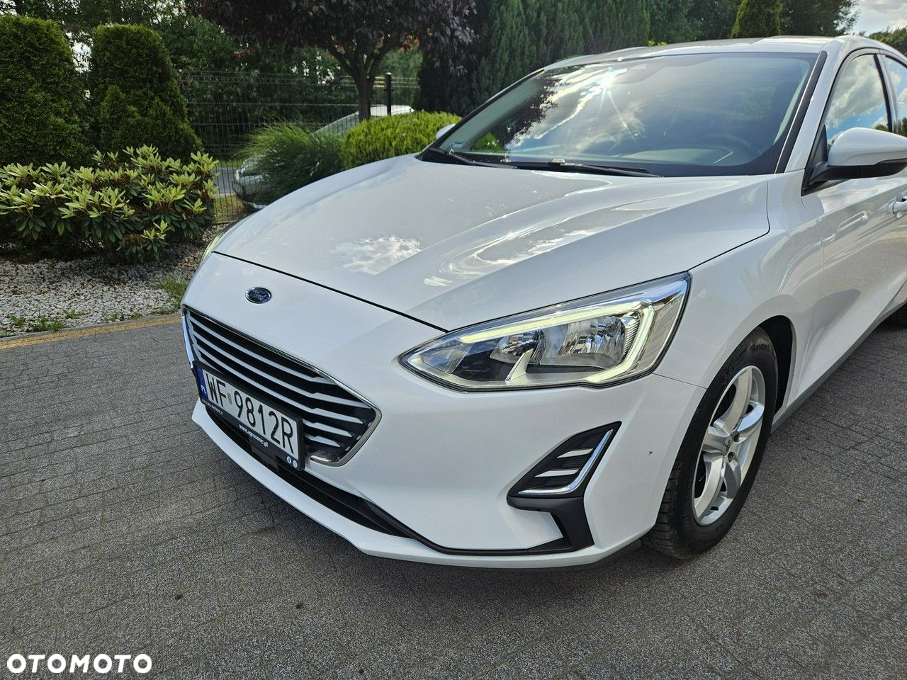 Ford Focus - 24