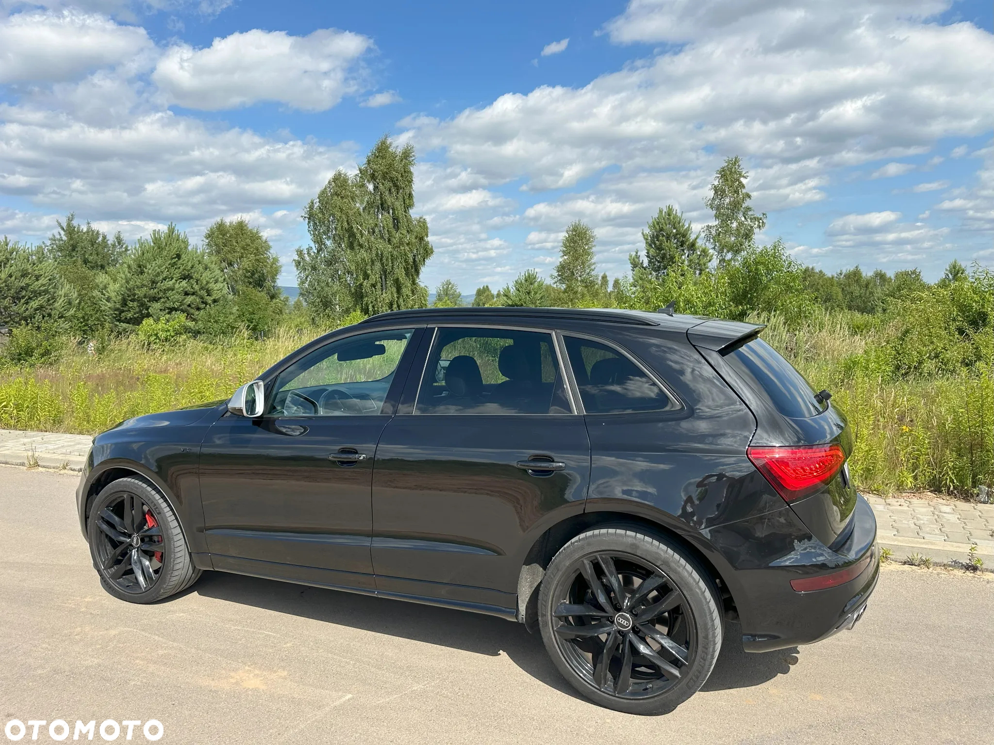 Audi SQ5 3.0 TDI Quattro Tiptronic EU6 - 11