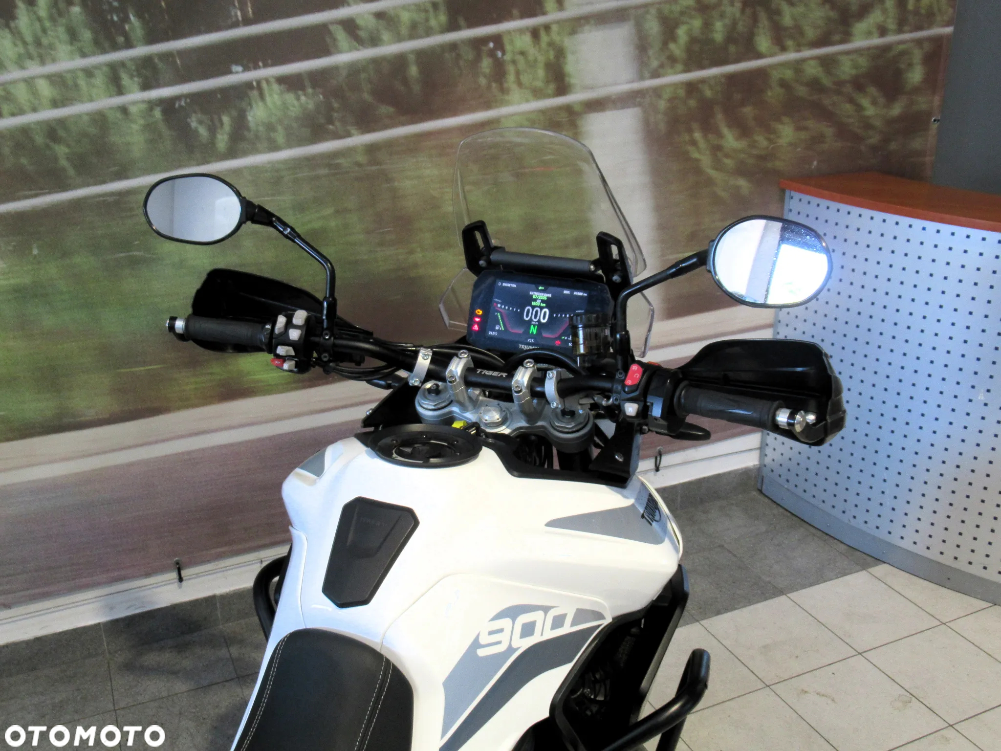 Triumph Tiger - 11