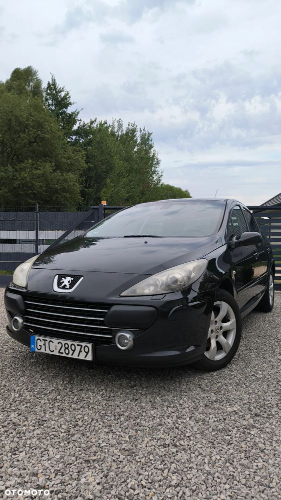 Peugeot 307 2.0 Sporty - 2