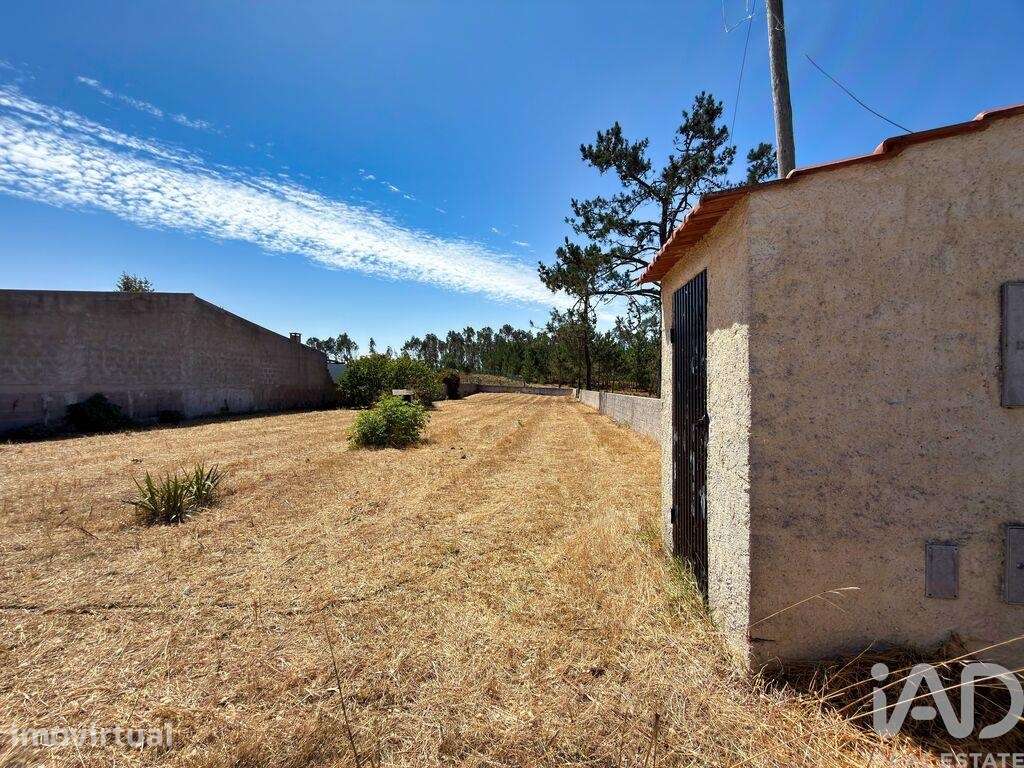 Terreno em Vieira de Leiria - Grande imagem: 4/5