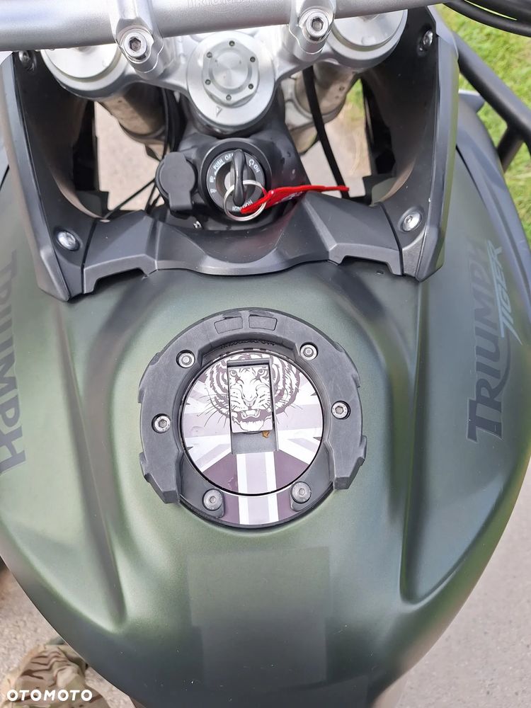 Triumph Tiger - 16
