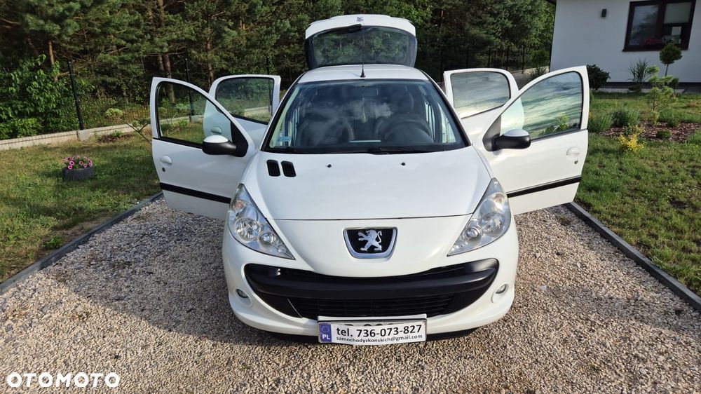 Peugeot 206 plus - 20