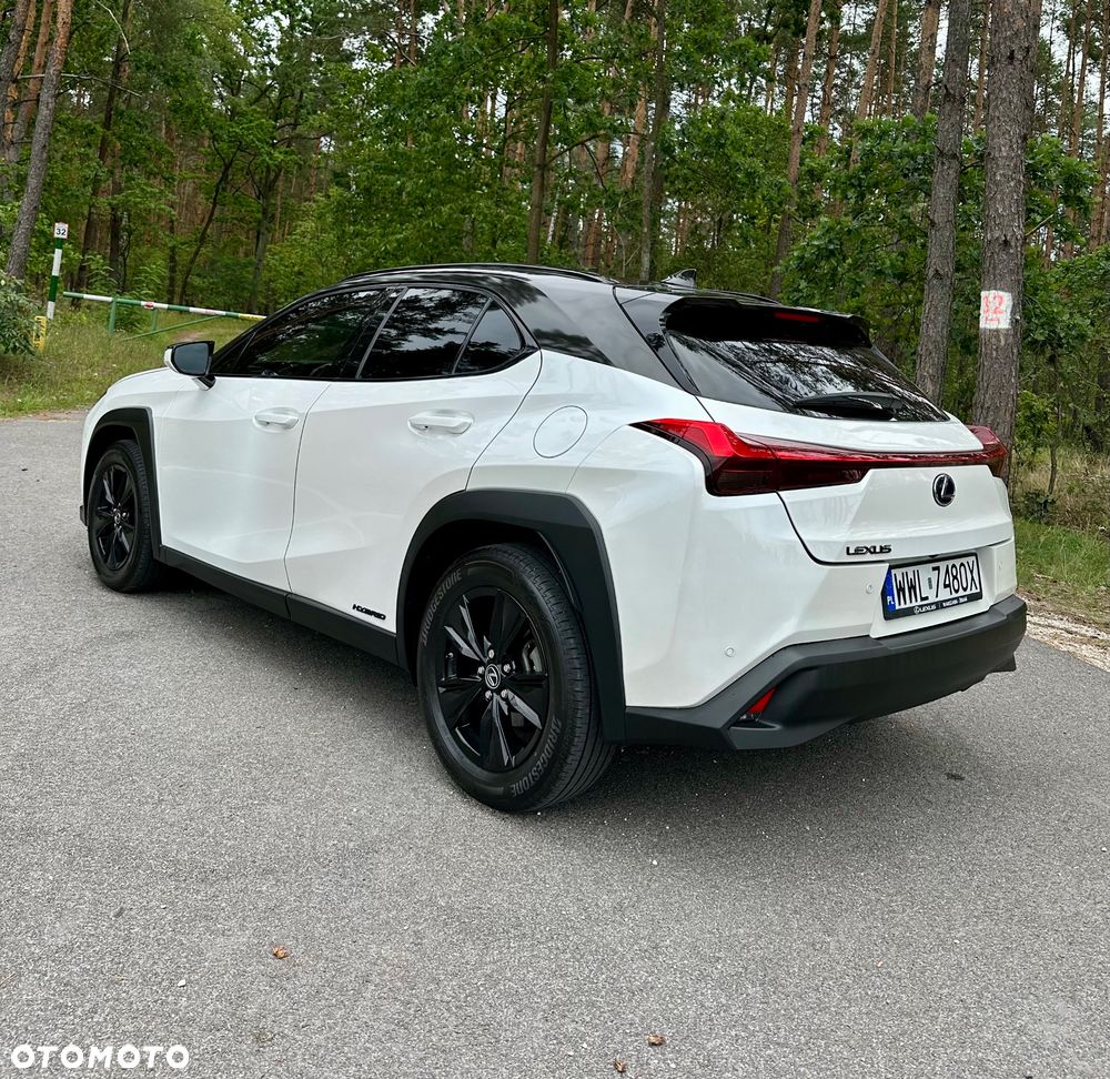 Lexus UX 250h Prestige 2WD - 2