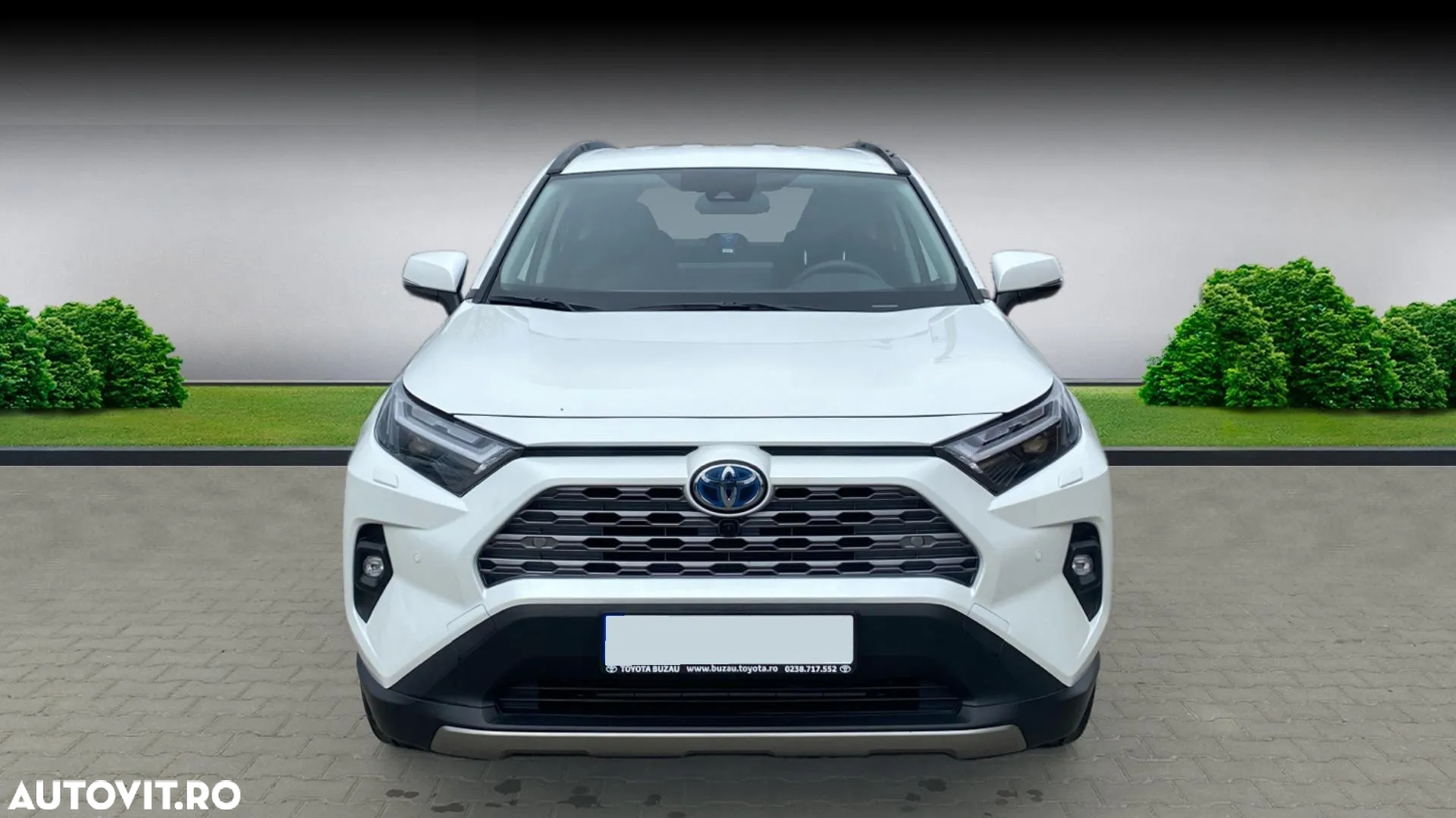 Toyota RAV4 2.5 Hybrid VVT-iE 4x4 Luxury - 5