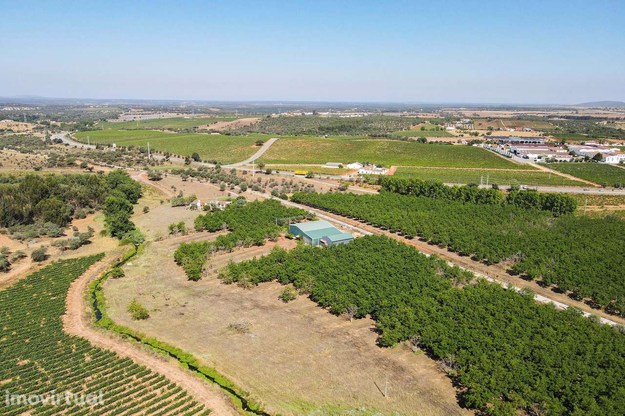 PIP Aprovado - Hotel Rural 4 estrelas - Grande imagem: 4/16