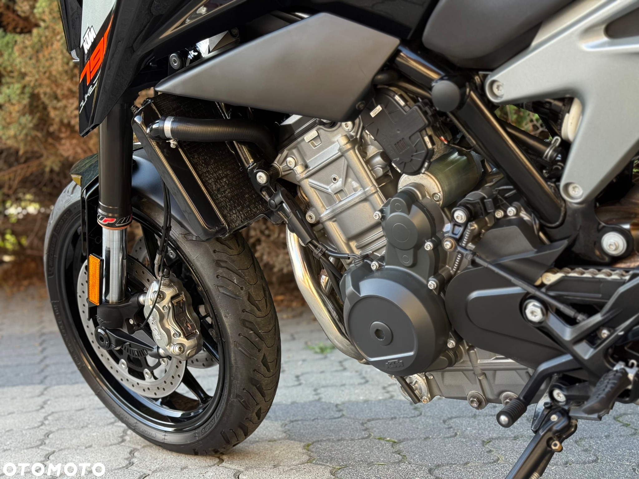 KTM Duke - 36